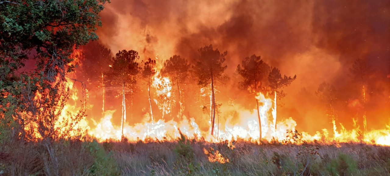 지난 14일(현지시간) 프랑스 남서부 보르도의 랑디라스 인근에서 발생한 산불로 수목이 타고 있다.