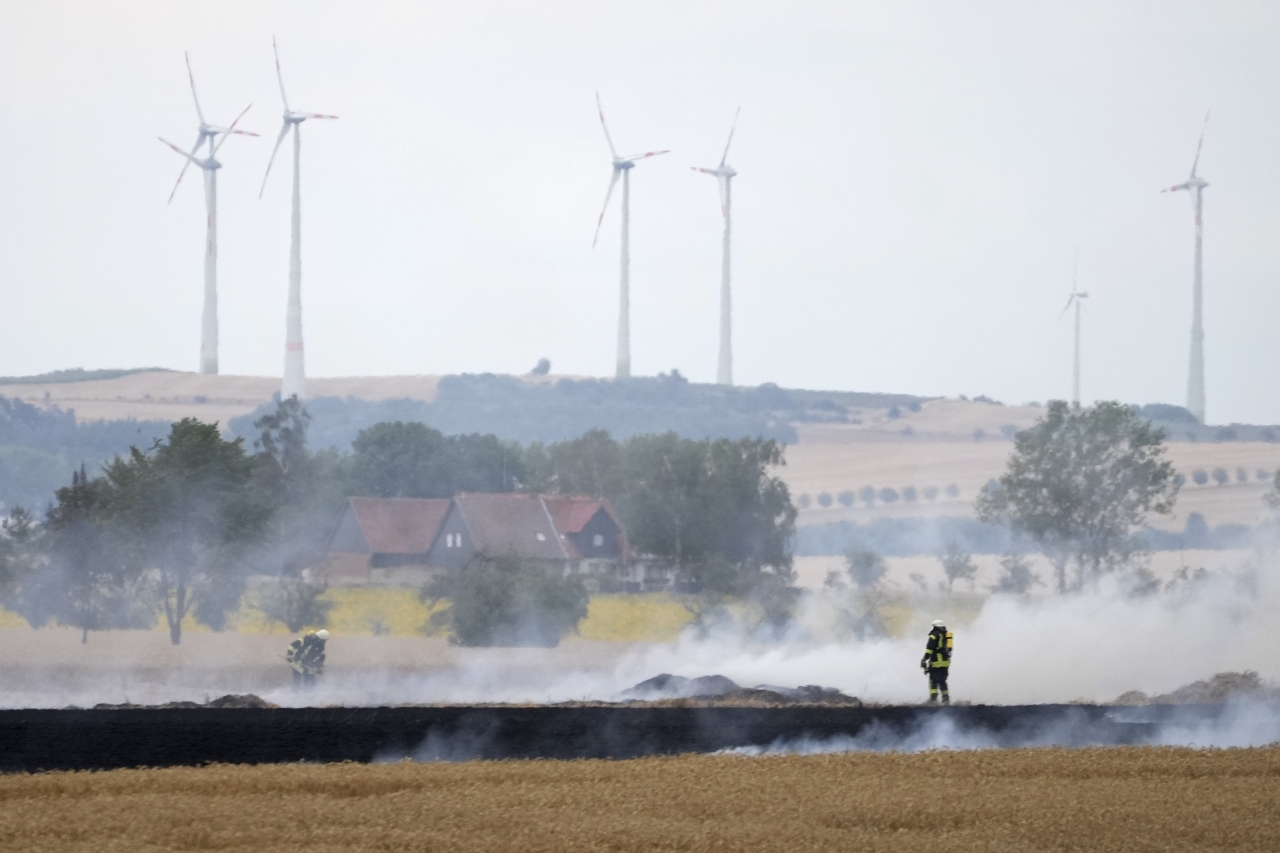 지난 21일(현지시간) 독일 베르니게로데 인근에서 화재가 발생한 후 한 소방관들이 불에 탄 옥수수밭을 살피고 있다.